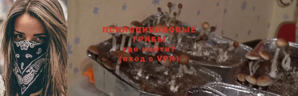 2c-b Балабаново