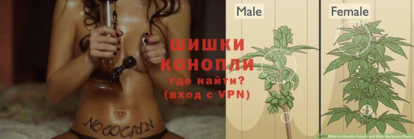 тгк Баксан