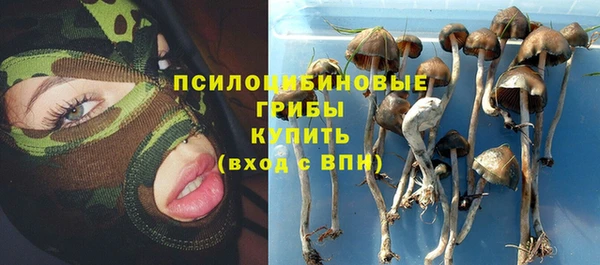 2c-b Балабаново