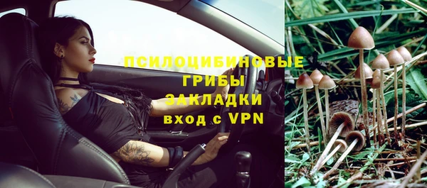 гидропоника Аркадак