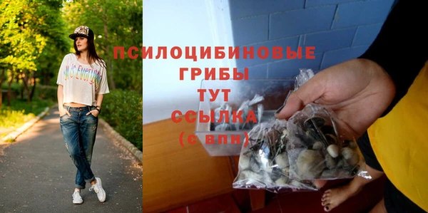 тгк Баксан