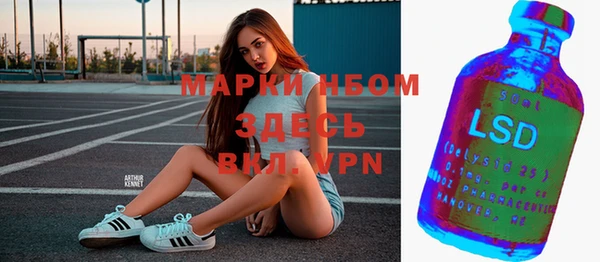 прущая мука Арсеньев