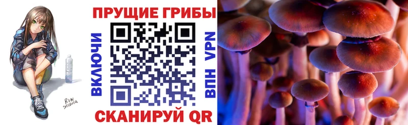 что такое   Нея  гидра сайт  Галлюциногенные грибы MAGIC MUSHROOMS 